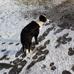 Dit is onze boo van 5 maanden