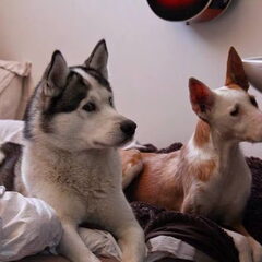 Manu & Uma