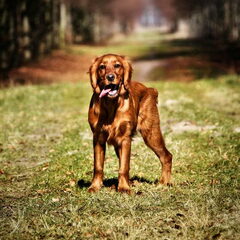 Op deze foto is Benthe 6 maanden. ze is een vrolijke…