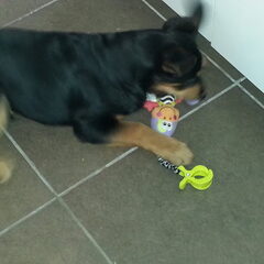 Taico spelen