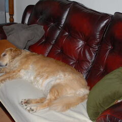 Lady op de bank.