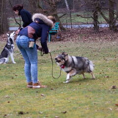 EG cursus