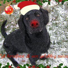 Fijne kerstdagen en Gelukkig nieuwjaar allemaal! Liefs…