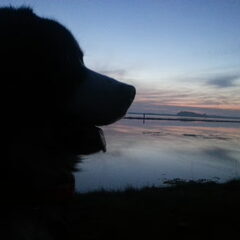 My Beauty :)