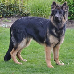 Rody 7 maanden oud