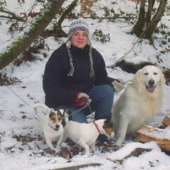 butch,spike,rocky aan het wandelen met vrouwtje in de…