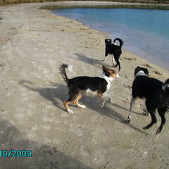 samen wandelen
