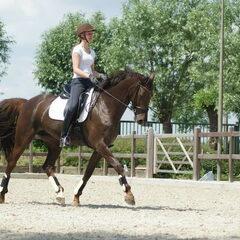 Alouette