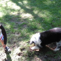 Samen mollen zoeken, spannend
