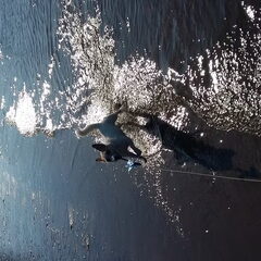 Dappere DJ zelf het water in