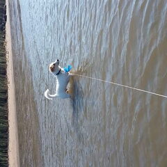 Dappere DJ zelf het water in
