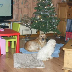 Hier met de kerst. Samen op de foto met Angie (van mijn…
