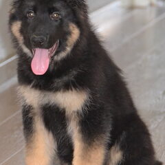 Rody 3 maanden