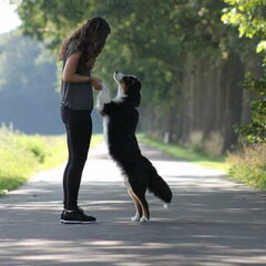 Danique met Skype