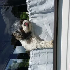 Joehooeeee hier ben ik haha