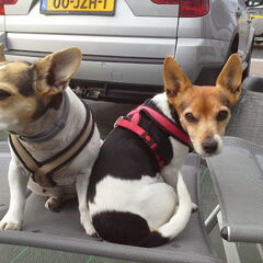 Links Terry, rechts Missy. Hier op vakantie in Spanje met…