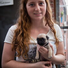 Eerste keer kraamvisite bij de pups, 4 weken en 1 dag oud!