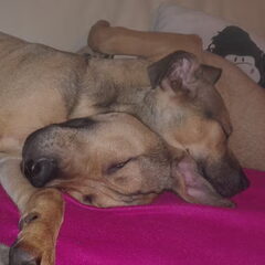 broer en zusterliefde :)