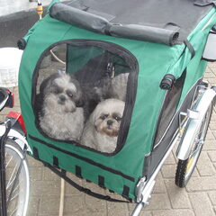 met de fietskar erop uit!!!!!dat vinden die kleintjes…