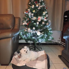 Lilly zusje van queenie