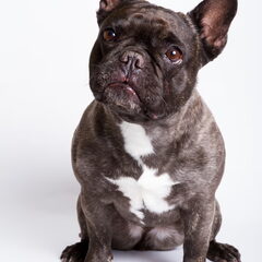 Dit is Jenny, onze oudste van bijna 6. Ze is als…