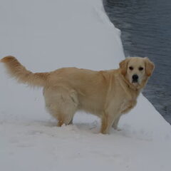 Amy in de sneeuw