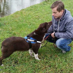 Lucky met Domenique