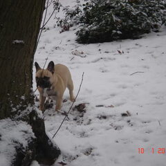 heerlijk die sneeuw