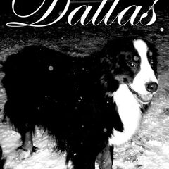 Dallas