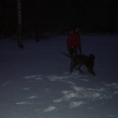 Spelen in de sneeuw