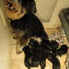 Trotse mama!