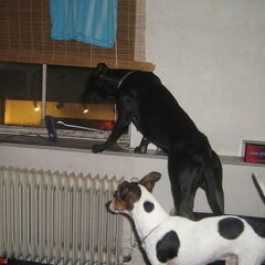 ik wil ook buiten kijke :):)