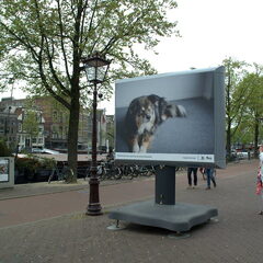 Een foto van Dierbare Amsterdammers met daarop Taiko van 11