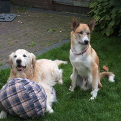 Wat een schatten!!!!