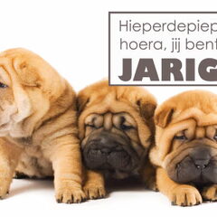 Hartelijk Gefelicteerd!