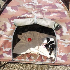 Hailey in de tent