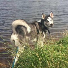 Spetter spiter später lekker in het water