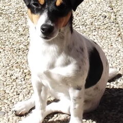 Hailey genietend in de zon