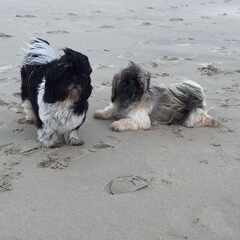 Lekker uitwaaien op het strand