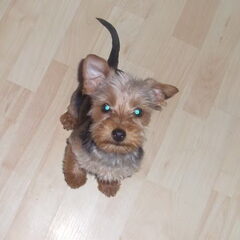 Missy!