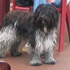 Dit is Naischa 2 jaar oud.