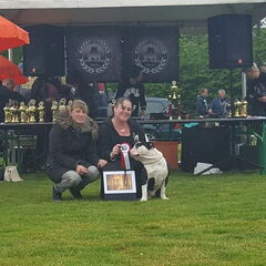 Low 1st op de show. Lowrider is onze dekreu en show reu