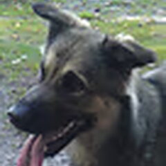 dit is layka van mij vriendin