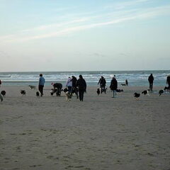 Kerstwandeling MSDE 2016
