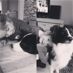 Zeg nog eens dat Border Collies geen kindervrienden zijn