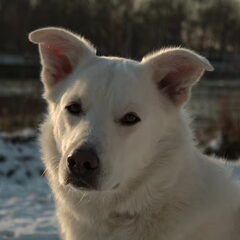 Sneeuwpret met Bundy!