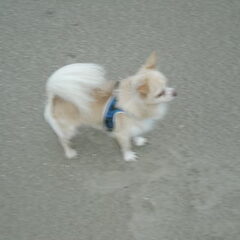 Lekker op het strand.. brr wat was het koud!