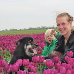 Even wat foto's maken tussen de tulpen