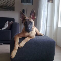 Hier is ze nu bijna 5 maand....
