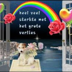 heel veel sterkte